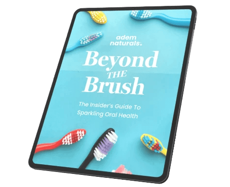 ProvaDent  bonus 1 - Beyond the Brush